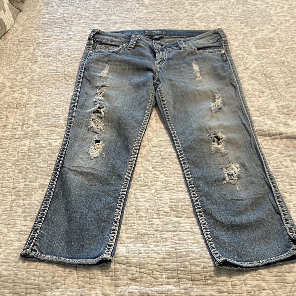Silver Francis Crops - Picture 3 of 10